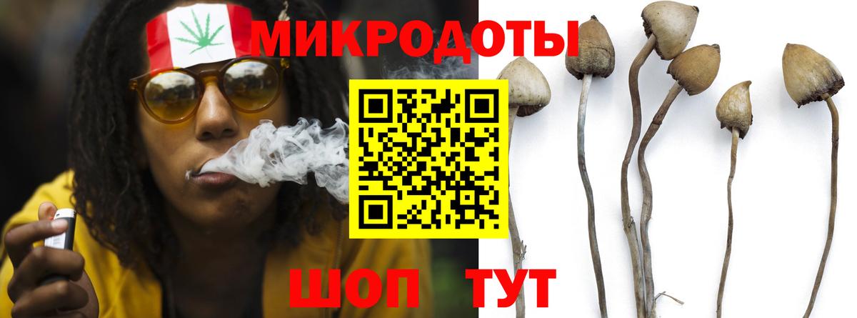 Менделеевск  Псилоцибиновые грибы Cubensis  Вход с VPN 